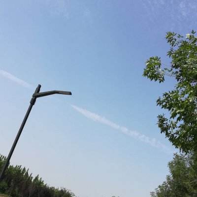 尸鲲屠龙传破解版下载